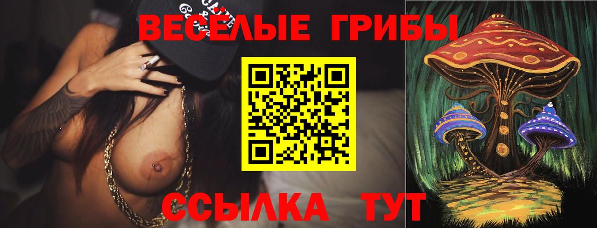 Псилоцибиновые грибы ЛСД  Вход с VPN  Галлюциногенные грибы мухоморы  Нововоронеж 